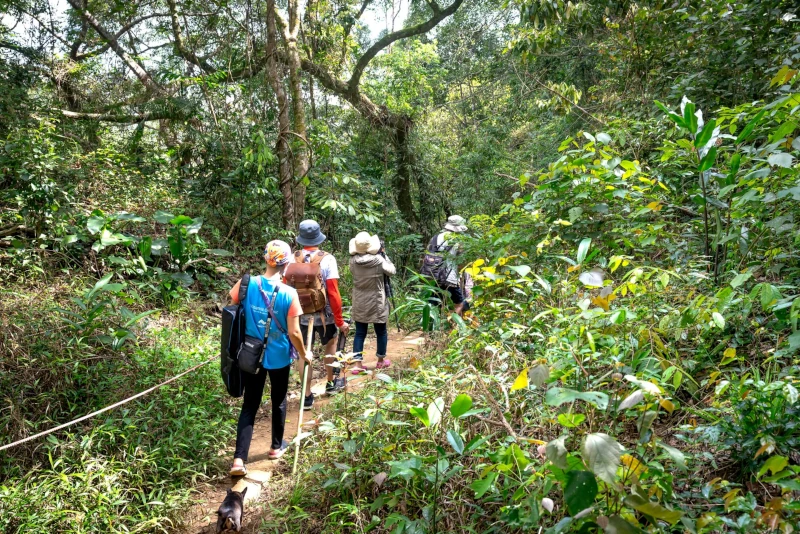 Khao Sok Dschungeltrekking