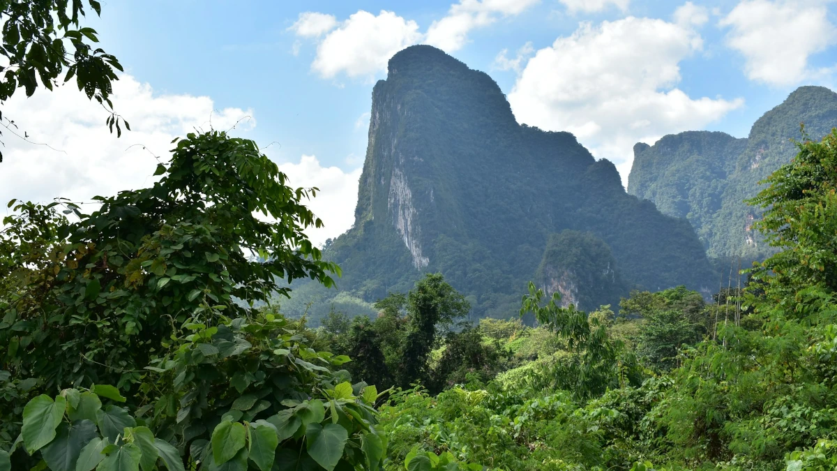 Khao Sok Karstberge umgeben von tropischem Dschungel unter blauem Himmel