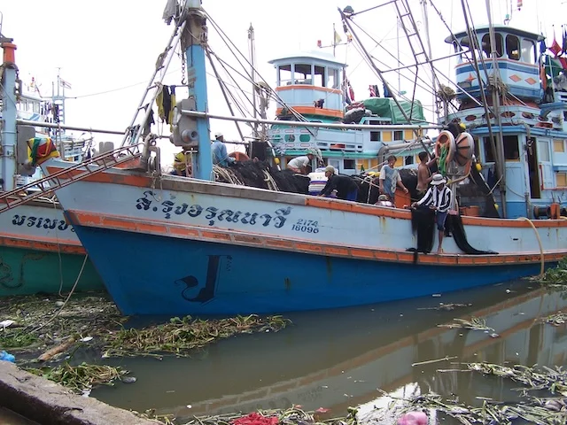 Mae klong train market
