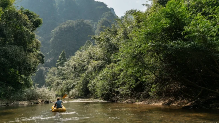 Khao Sok kayaker paddling through a lush jungle river
