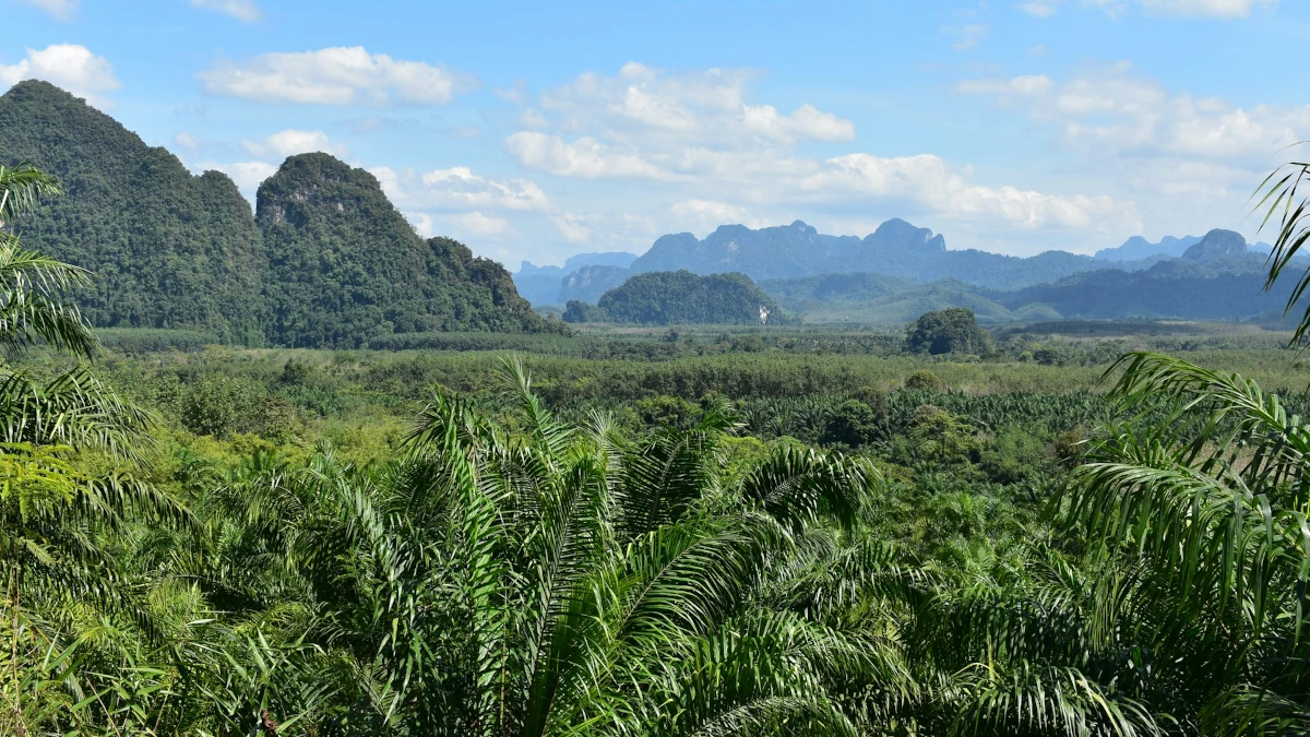 Khao Sok jungle en bergen